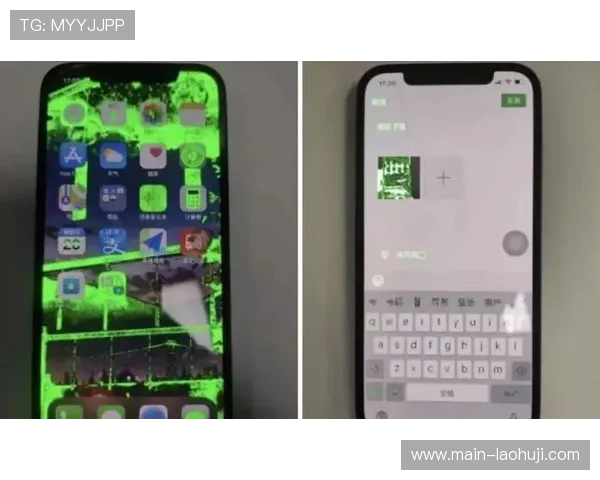 水果老虎机手机官网客服支持全天在线，解决您的所有疑问